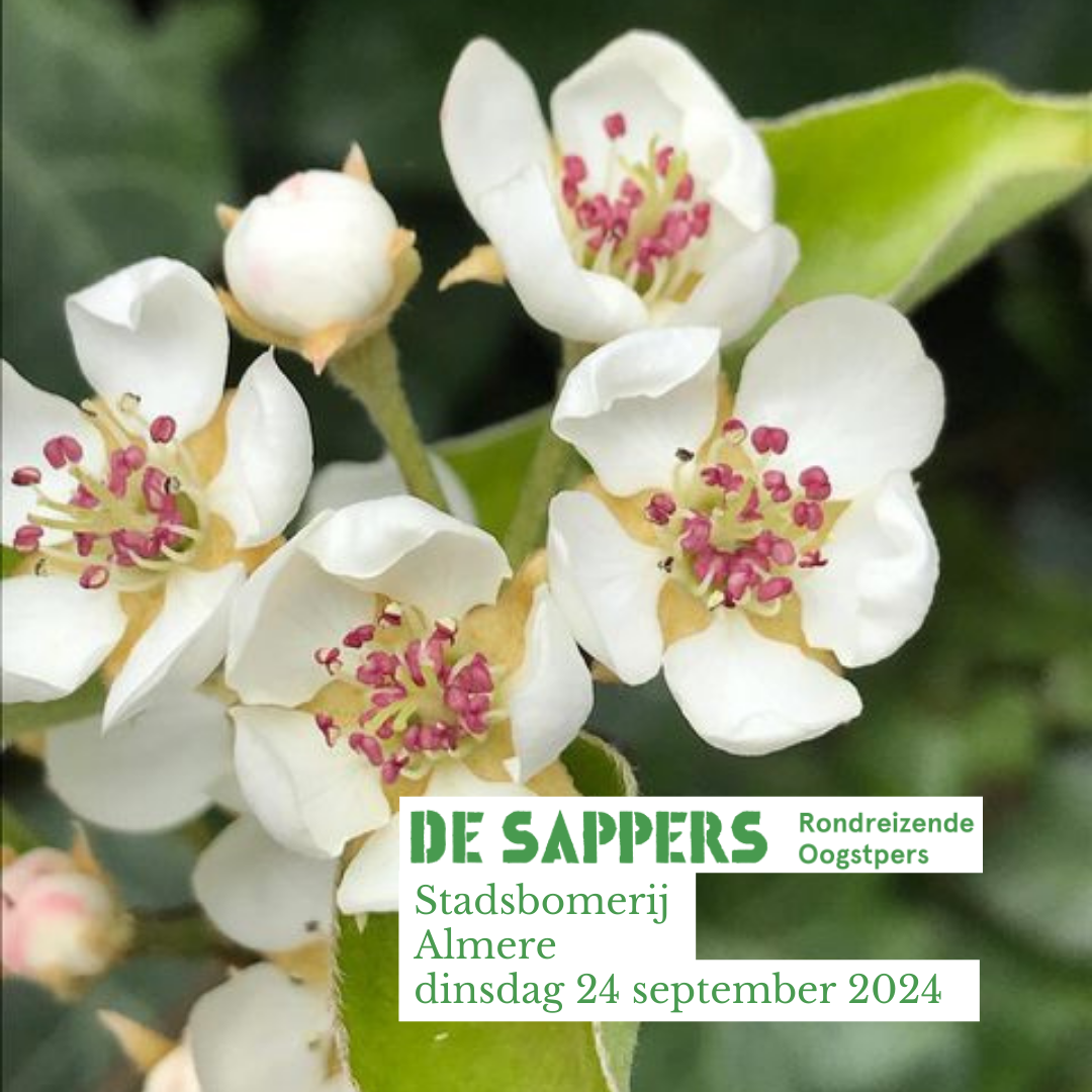 Persdag 'Almere (Flevoland): Stadsbomerij' op dinsdag 24 september 2024
