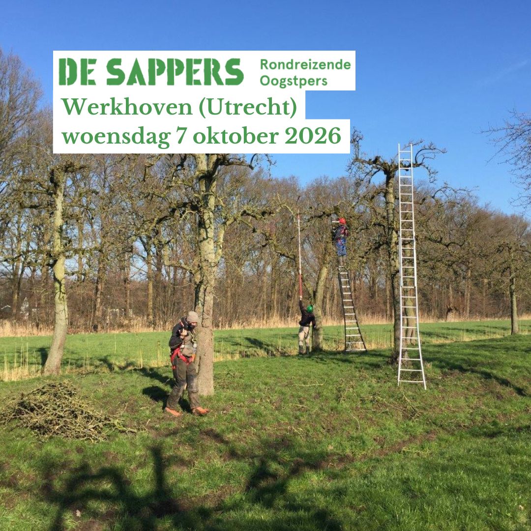 Persdag 'Werkhoven (Utrecht): Hoogstambrigade Kromme Rijnstreek' op woensdag 07 oktober 2026