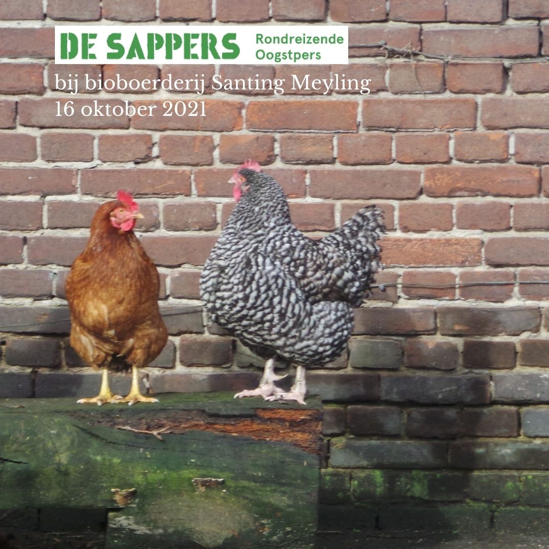 Persdag 'VOLGEBOEKT: Ruinerwold (Drenthe): Bioboerderij SantingMeyling' op 16-10-2021